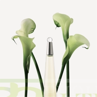 ISSEY MIYAKE L'EAU D’ISSEY 50ML SET