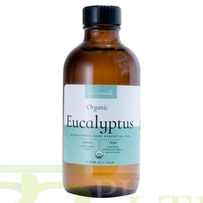 Organic Eucalyptus Oil