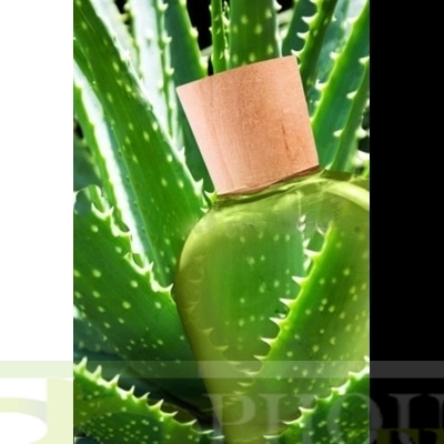 ALOE VERA Gel-100% Pure Organic