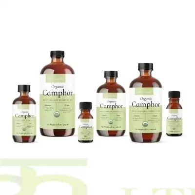 Organic Camphor Essential Oil