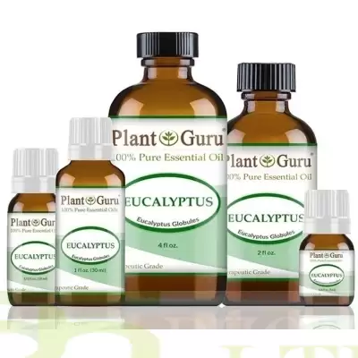 Eucalyptus Oil 100% Pure